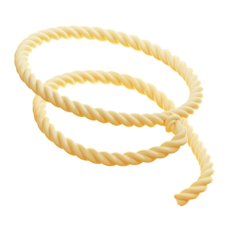 Corda de laço  3D Icon