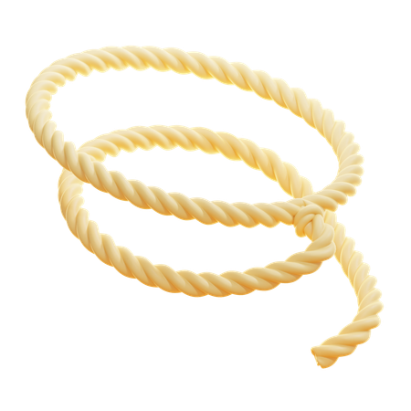 Corda de laço  3D Icon