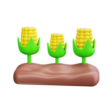 Corn  3D Icon