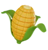 Corn