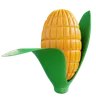 Corn