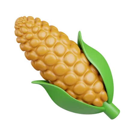 Corn  3D Icon