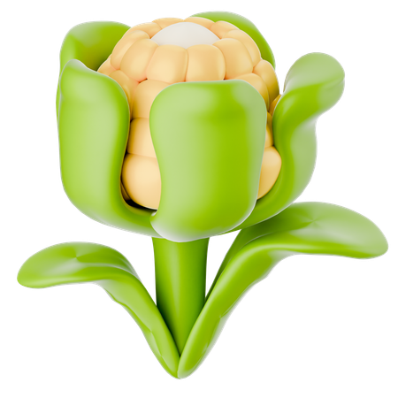 Corn  3D Icon