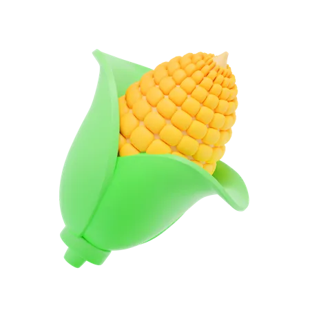 Corn  3D Icon