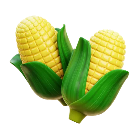 Corn  3D Icon