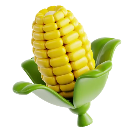 Corn  3D Icon