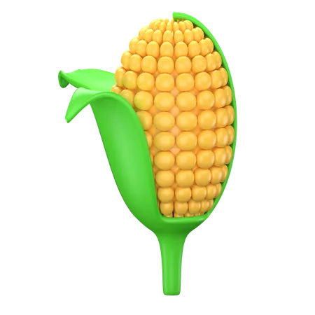 Corn  3D Icon