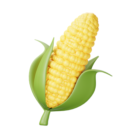 Corn  3D Icon