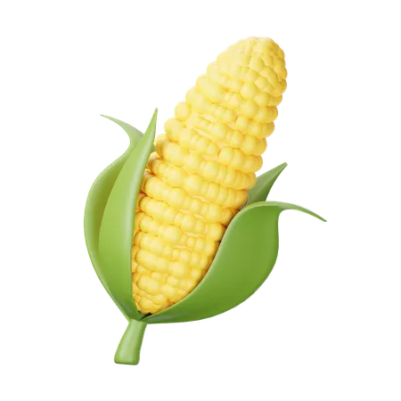 Corn  3D Icon