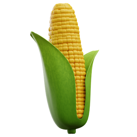 Corn  3D Icon