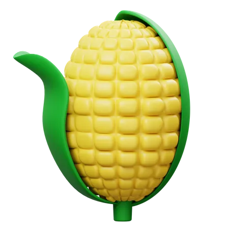 Corn  3D Icon