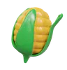 Corn