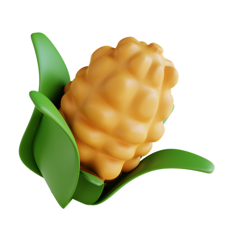 Corn  3D Icon