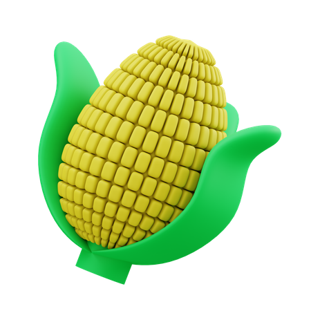 Corn  3D Illustration