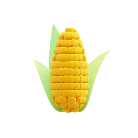 Corn  3D Illustration