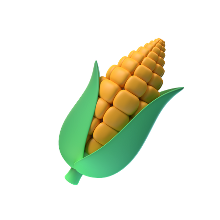 Corn  3D Illustration