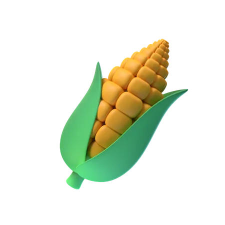 Corn  3D Illustration