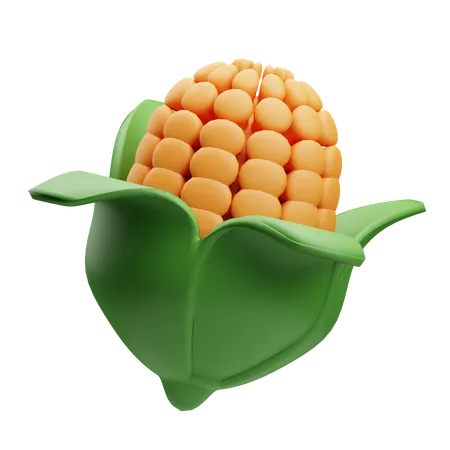 Corn  3D Illustration