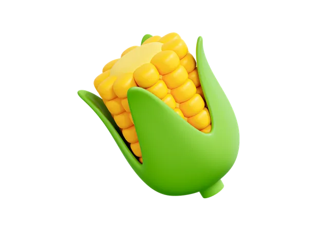 Corn cob  3D Icon