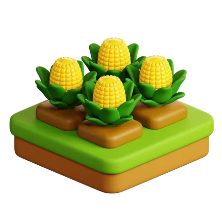 Corn Farming  3D Icon