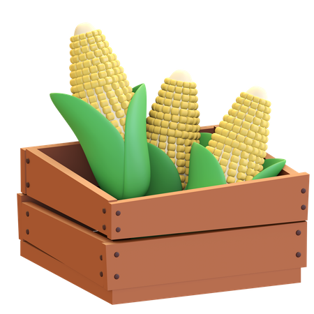 Corn in the box icon  3D Illustration