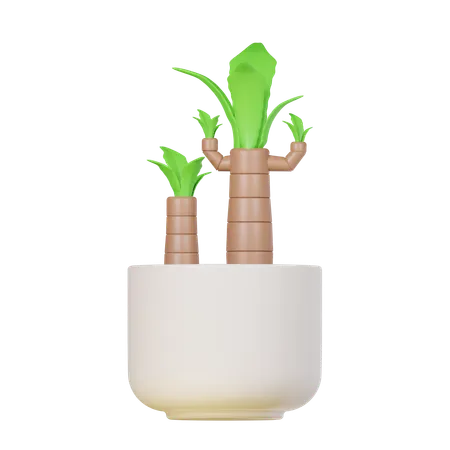 Corn Plant  3D Icon