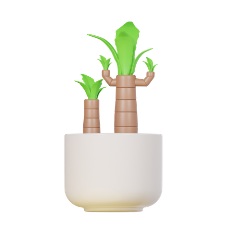 Corn Plant  3D Icon