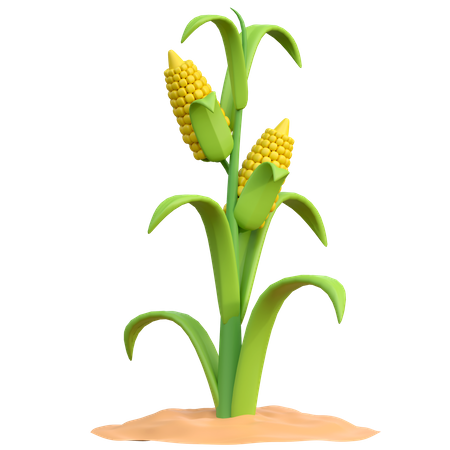 Corn Plant 3D Icon