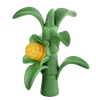 Corn Stalk