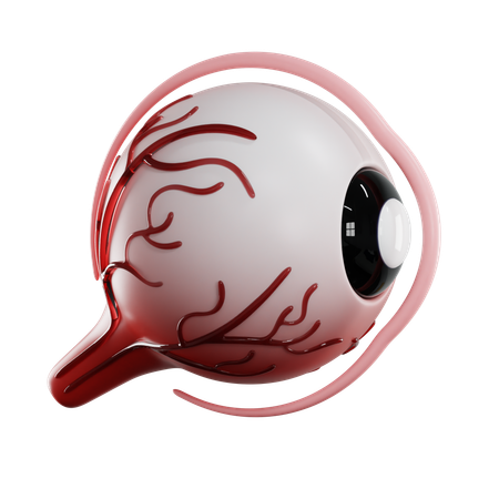 Córnea del ojo  3D Icon