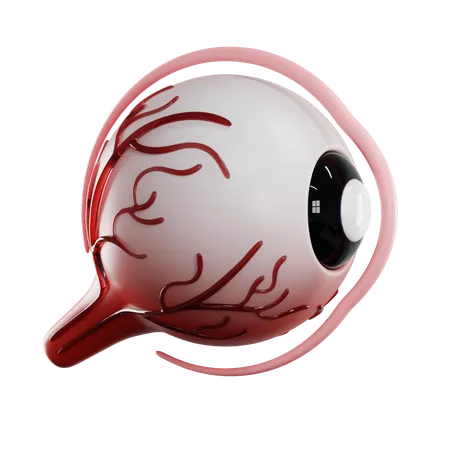 Córnea del ojo  3D Icon