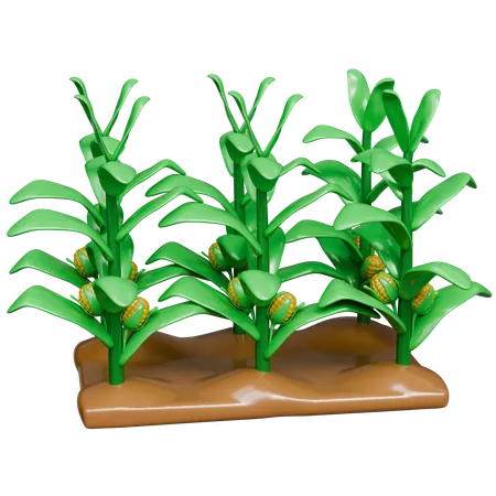 Cornfield  3D Icon