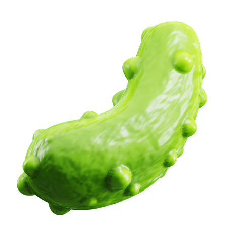 Cornichon  3D Icon