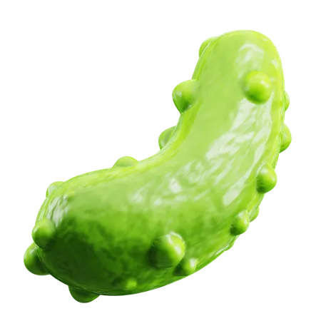 Cornichon  3D Icon