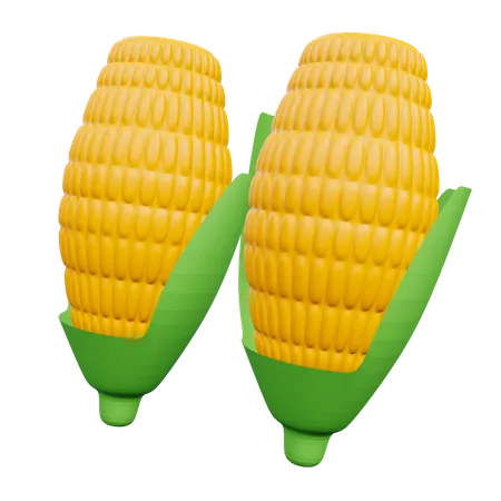 Corns  3D Illustration