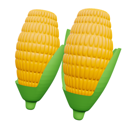 Corns  3D Illustration