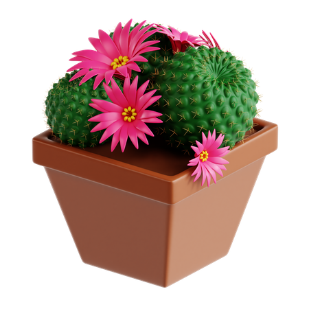 Cactus corona  3D Icon