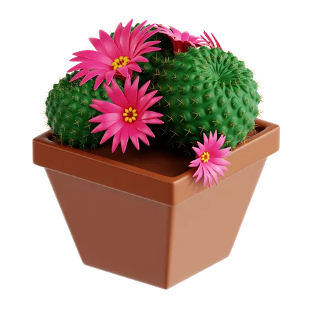 Cactus corona  3D Icon