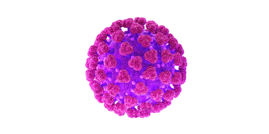 Coronavirus  3D Illustration