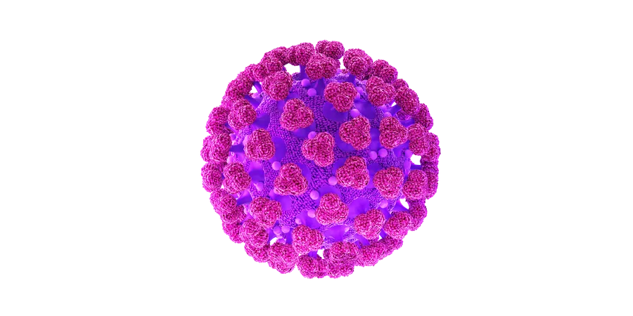 Coronavirus  3D Illustration