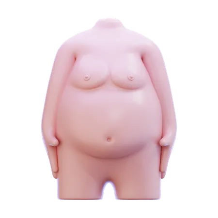 Corpo gordo  3D Icon