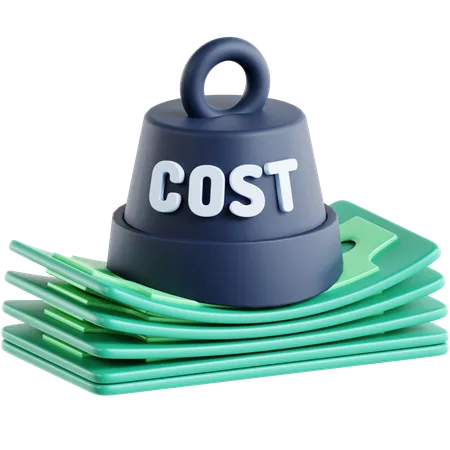 Peso del costo  3D Icon