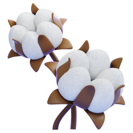 Cotton  3D Icon