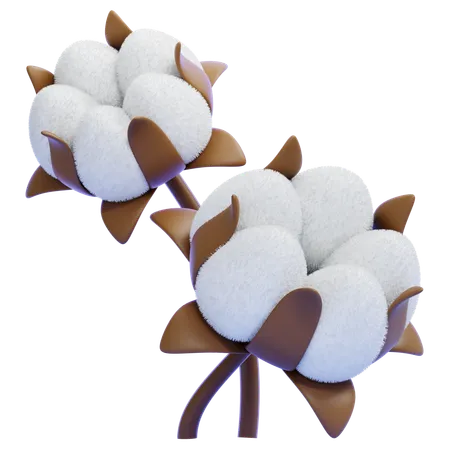 Cotton  3D Icon