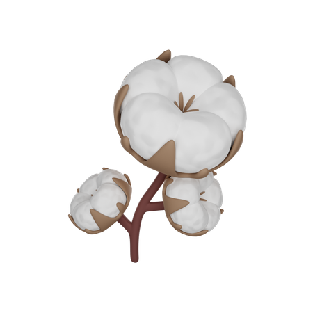Cotton  3D Icon