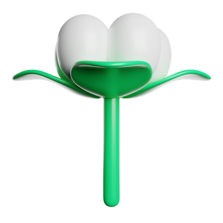 Cotton Flower  3D Icon