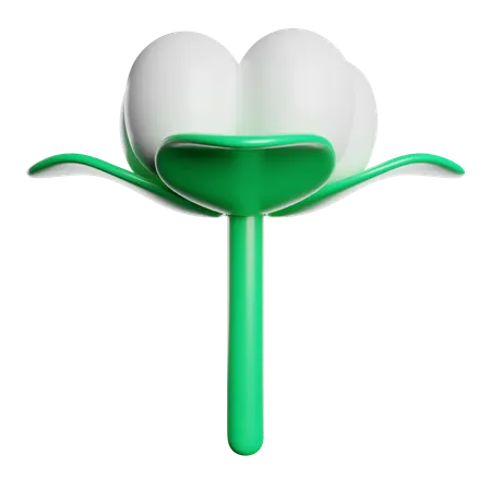 Cotton Flower  3D Icon
