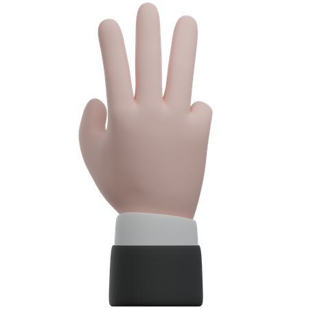 Counting By Hand Three Hand Gestures  3D Icon