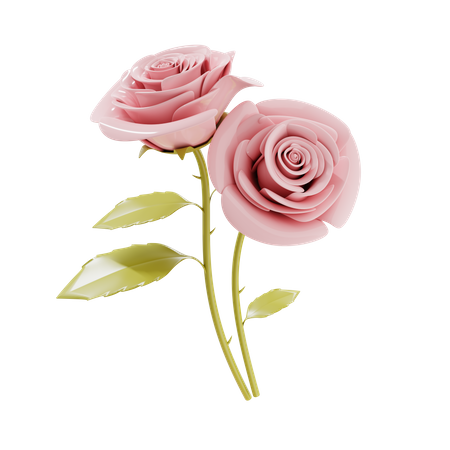 Couple of rose flower  3D Illustration