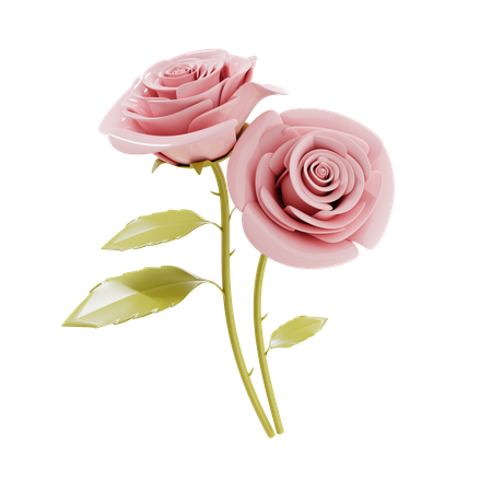 Couple of rose flower 3D Illustration